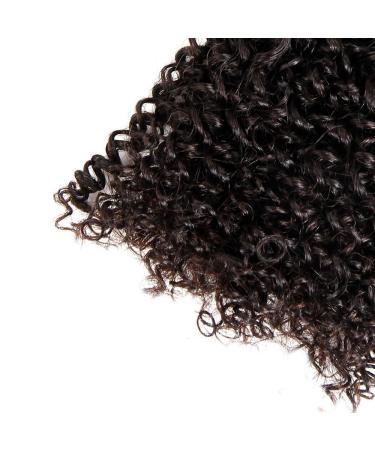 ISEE Hair 9A Mongolian Kinky Curly Virgin Human Hair Extension - 12 Inch - Buy Online on GoSupps.com