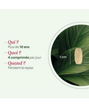 SUPERDIET - BLACK RADISH ARTICHOKE ORGANIC Liver well-being Herbal medicine Made in France 80 tablets - Buy Online on GoSupps.com