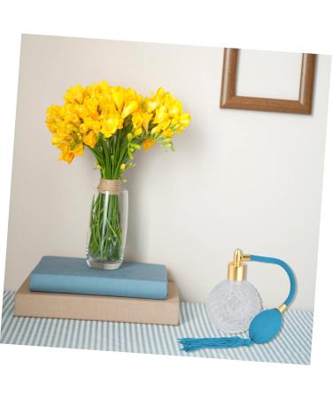 BIUDECO 1pc Air Bag Perfume Bottle Perfume Spray Bottle Empty Refillable Perfume Bottle Pump Bottle Bulb Travel Makeup Container Classic Perfume Sprayer Fine Mist Glass Essential Oil 10.5X7.6CM Transparent - Buy Online on GoSupps.com