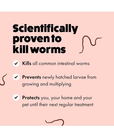 Cat Worming Tablets for 1kg+ Cats | 2 Tablets | Treats Roundworms & Tapeworms | Kills Worm Larvae - Buy Online on GoSupps.com