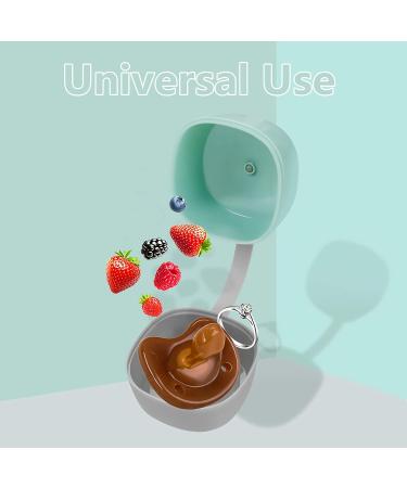 LANEYLI Pacifier Case Pacifier Holder Case Pacifier Clip Binky Holder Case Pacifier Box Pacifier Accessories 2 Pack Macaron Grey Clear - Buy Online on GoSupps.com