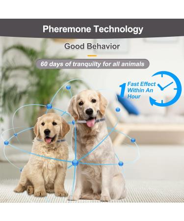 Calming Dog Collar for Anxiety Relief - Pheromone Collar for Dogs in New Environments - Adjustable for Small, Medium, Large Dogs - Grey - 1pc - Buy Online on GoSupps.com