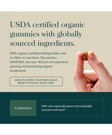 Gaia Herbs Lion's Mane Mushroom - Natural Brain Support Supplement - Made with Organic Lion's Mane Mushrooms - Free from Gluten Soy & Dairy - 60 Vegan Gummies (30 Servings) - Buy Online on GoSupps.com