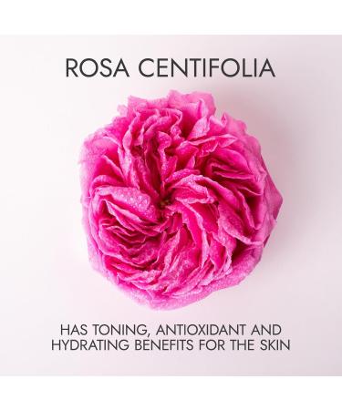 Alteya Organic Centifolia Rose Water Spray 100ml - 100% USDA Certified Organic Authentic Pure Natural Rosa Centifolia Flower Water Steam-Distilled and Sold Directly by The Rose Grower Alteya Organics - Buy Online on GoSupps.com