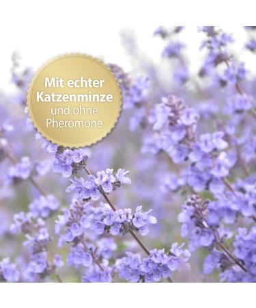 Felisept Home Comfort 45ml Refill - Natural Cat Sedative with Catnip for Calm Relaxation - Pheromone-Free Solution for Anxious Cats - Buy Online on GoSupps.com