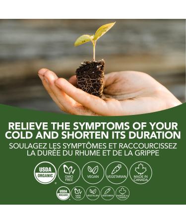 St. Francis Herb Farm - Echinacea Goldenseal (Echinacea angustifolia & Hydrastis Canadensis) Herbal Extract Tincture - Echinacea angustifolia is traditionally used in Herbal Medicine to help relieve the symptoms of cold cough and sore throats (50ml) 50 co - Buy Online on GoSupps.com