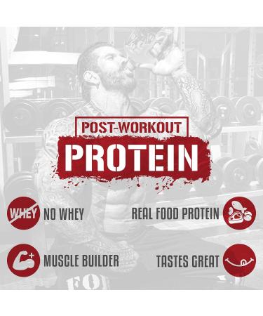 5% Nutrition Shake Time | 26G Animal-Based Protein Drink | Grass-Fed Beef, Chicken, Whole Egg | No Sugar, Dairy, or Soy (Vanilla Cinnamon) - Buy Online on GoSupps.com