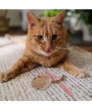 8 Pieces Interactive Plush Cat Mouse Toys - Mint Scented Kitten & Cat Play Mice - Perfect for Engaging Fun! - Buy Online on GoSupps.com