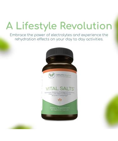 Vital Salts Electrolyte Supplements - Energy Endurance & Muscle Cramps Relief - Blood Pressure Support - 120 Capsules for Optimal Health - Buy Online on GoSupps.com