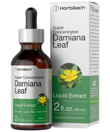 Horb ach Damiana Leaf Herb Tincture | 2 fl oz | Super Concentrated | Alcohol Free Liquid Extract | Vegetarian Non-GMO & Gluten Free Herbal Supplement