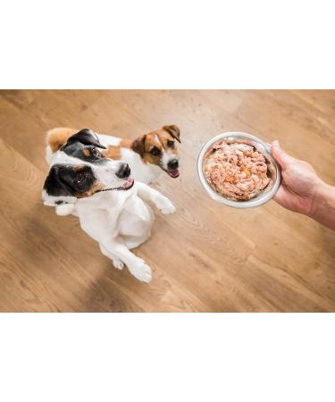 Schesir Chicken Fillet with Turkey for Dogs - Wet Food - 6 x 4 cans x 85 g - Buy Online on GoSupps.com