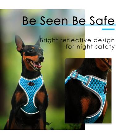 Thinkpet No-Pull Dog Harness Leash Set - Breathable Padded Reflective Safety Harness for Small Medium Large Dogs - Adjustable Running Harness (1 Pack) - Blue - Buy Online on GoSupps.com