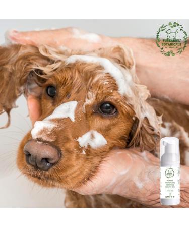 Ultra Gentle Sensitive Skin Conditioning Shampoo Wash for Pets Odour Remover Moisturising Skin Repair. Cat Shampoo Rabbit Shampoo Dog Shampoo Hamster Shampoo- 60ml - Buy Online on GoSupps.com
