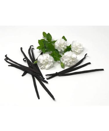 Premium Mexican Vanilla Beans - Superior Grade | 25.0 Grams - Buy Online on GoSupps.com