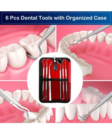 Antonki Dental Tools Teeth Cleaning Tools Dental Hygiene Kit Dental Picks Professional Stainless Steel Dentist Tools Plaque Remover Tartar Scraper - with Case - Buy Online on GoSupps.com
