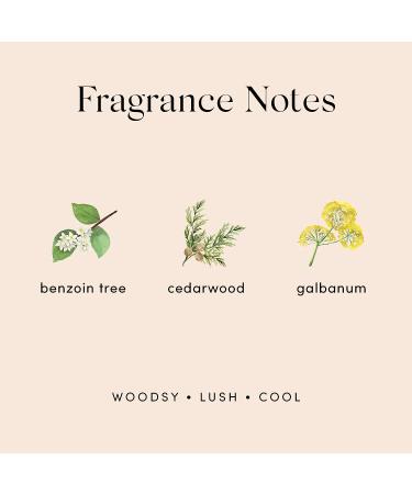 Skylar Willow Eau De Toilette 1.7 oz Perfume - Buy Online on GoSupps.com