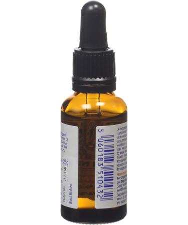 Dorwest Herbs Evening Primrose Oil Liquid for Dogs and Cats 30 ml 30 ml (Pack of 1) - Buy Online on GoSupps.com