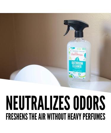 Aunt Fannie's Bathroom Cleaner - Vinegar Wash 16.9 oz (500 ml) | Natural & Eco-Friendly Cleaning Solution - Buy Online on GoSupps.com