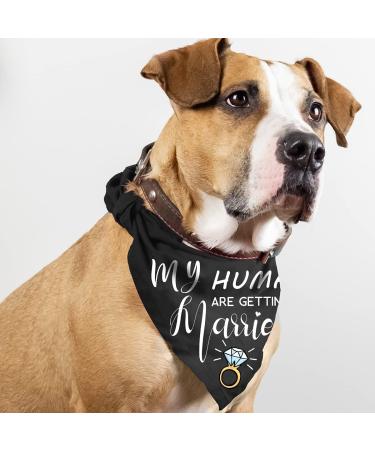 Dog Wedding Bandana Set for Engagement Photos - Pet Scarf Accessories for Dog Lovers - Bridal Shower Gift - Buy Online on GoSupps.com