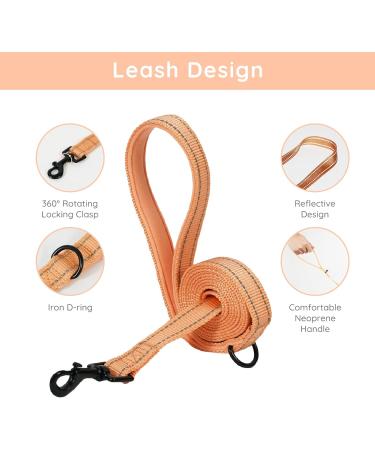 Shop Bella & Pal Dog Harness for Small Dogs | Breathable Air Mesh Reflective with Leash - Perfect for Puppies & Cats (Peach Size L - 42-50cm) - Buy Online on GoSupps.com