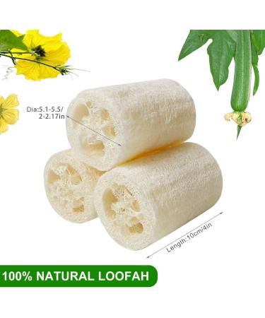 Buy 6 Pack Natural Luffa Sponge - 10cm Exfoliating Cucumbers for Skin Care Bath & Shower Peeling - Eco-Friendly Body & Kitchen Sponge - Buy Online on GoSupps.com