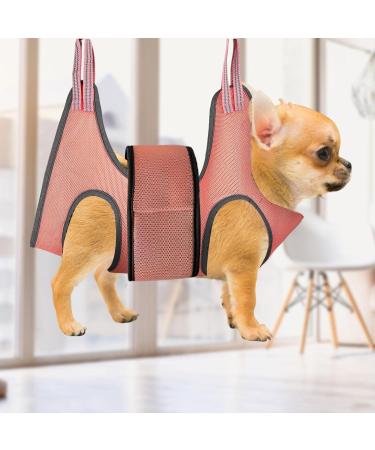 JINGLING Cat Holder for Nail Clipping - Pet Grooming Holder Nail Trimming Bag | Pet Grooming Supplies for Dogs and Cats Bathing Nail Clipping and Nail Trimming - Buy Online on GoSupps.com