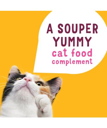 Friskies Lil' Soups Cat Food Complement Sockeye Salmon in a Velvety Chicken Broth - 34 g Cup (8 Pack) Sockeye Salmon in Chicken Broth - Buy Online on GoSupps.com