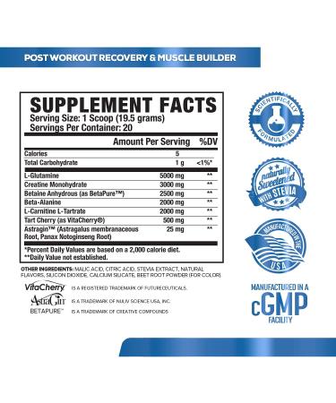 POWERBUILD Post Workout Recovery Supplement - Muscle Growth & Strength Boost - Creatine, Glutamine & More - Mixed Berry Blast 13.76 Oz - Buy Online on GoSupps.com