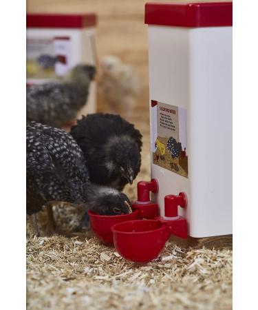 1 Gallon Capacity Small Cage Waterer for Chicks, Quails, Pigeons & Gamebirds - Buy Online on GoSupps.com