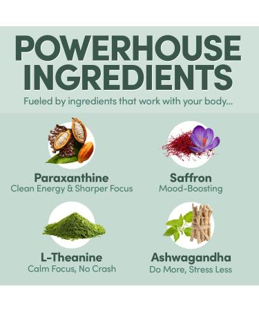 MTE Healthy Energy Drink Powder Packets | Caffeine Free & Sugar Free Energy | Boosted Focus and Productivity | 24 Drink Pouches | Paraxanthine Nootropic Supplement Mango Pineapple 0.27 Ounce (Pack of 24) - Buy Online on GoSupps.com