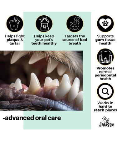 Cats and Dogs Water Additive for Oral and Dental Care: Eliminate Bad Dog Breath and Cat Bad Breath - Dog Breath Freshener - Fights Tartar & Plaque - Just Add to Water! (50ml (Pack of 1)) - Buy Online on GoSupps.com