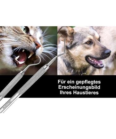 Tartar Remover for Dogs - Stainless Steel Tooth Cleaner & Scaler for Pets | Kausnack Alternative - Buy Online on GoSupps.com