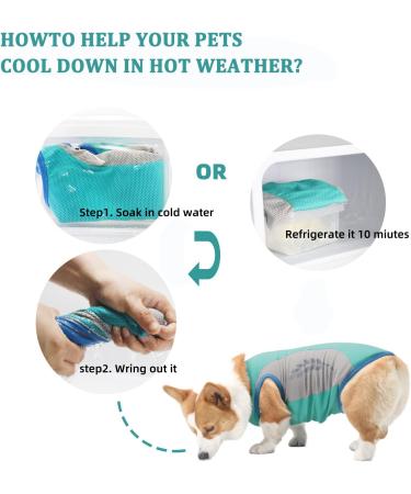 Light Dog Cooling Vest | Breathable T-Shirt with UV Protection | Reflective Dog Jacket for Small to Medium Dogs | Spring & Summer Blue - Buy Online on GoSupps.com
