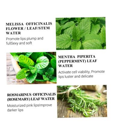 HAPINARY Lip Plumping Oil 10ml Hydrating Lip Balm for Women Moisturizing Glossy Finish - Buy Online on GoSupps.com