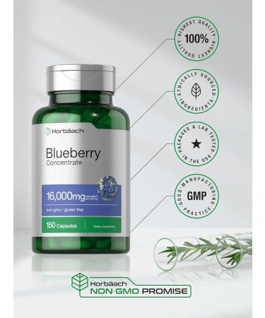 Horb ach Blueberry Extract Supplement | 150 Capsules | Blueberry Concentrate | Non-GMO Gluten Free - Buy Online on GoSupps.com