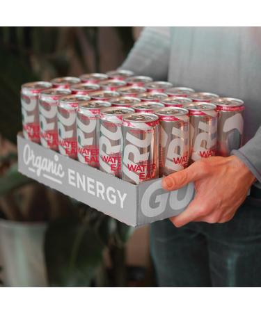 GURU Energy Sparkling Water Mix Pack | 0 Calories | Sugar Free | Certified Organic | 100mg Caffeine | Naturally Sweetened | 355ml (Pack of 24) (24 Pack Pomegranate) - Buy Online on GoSupps.com