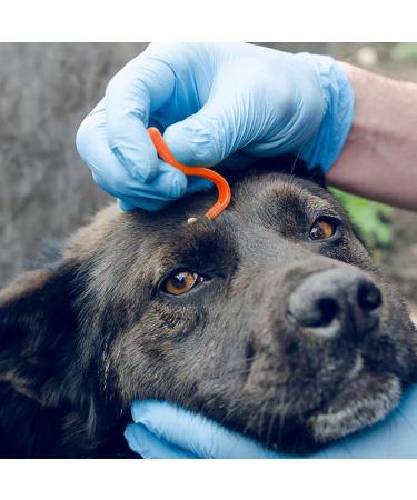 Flea Comb for Dogs and Cats - Stainless Steel Fine Long Teeth Flea Catcher - Tick Removal Tool and Lice Remover - Red Color - 6PCS - Buy Online on GoSupps.com