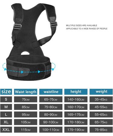 Posture Corrector for Women and Men Breathable Back Brace Straightener Back Support Belt for Clavicle to Support Spine Lumbar Neck Clavicle and Shoulder (Size : XXL) (Small) (XX) - Buy Online on GoSupps.com