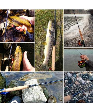 Maximumcatch Performance Nymph Fly Rod - 10FT Carbon Fiber AAA+ Cork Handle 2/3/4wt 4-Part Travel Design with Cordura Tube | Ideal Fly Fishing Gear - Buy Online on GoSupps.com