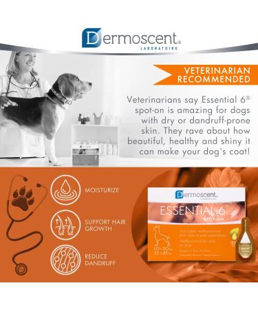 Innovative Skin Care Solution for Dogs & Small Pets | Moisturizing Glossy Coat Reduces Odor | Natural Ingredients for 10-20 kg Pets - Buy Online on GoSupps.com