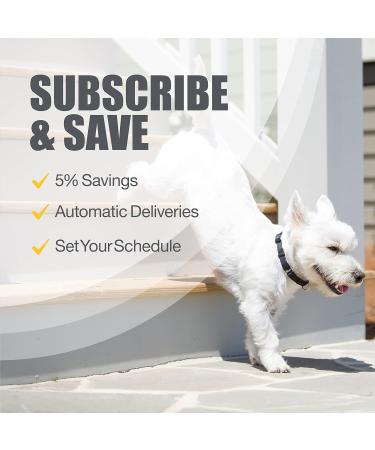 Nutramax Dasuquin with MSM Soft Chews 84ct for Small/Medium Dogs - Under 60 lbs - Buy Online on GoSupps.com