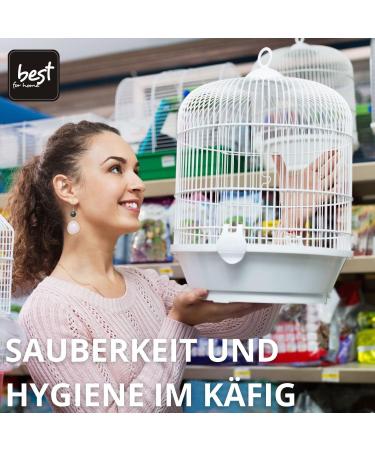 Best For Home Bird Sand - Premium Quartz Sand for Bird Cages (0.4-0.9 mm) | 5 KG Pack - International Shipping Available - Buy Online on GoSupps.com