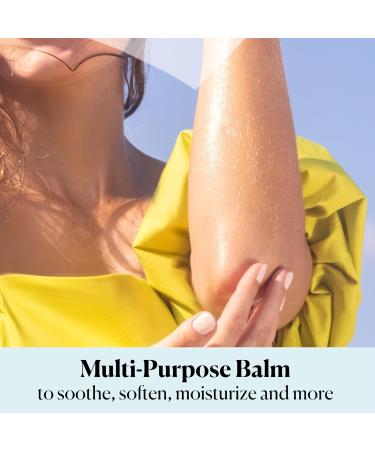 Sky Organics Organic Petroleum-Free Jelly - Multi-Purpose Skin Care Balm with Shea Butter Coconut Oil & Vitamin E - Moisturizing Lip Balm & Dry Skin Moisturizer (2.5 Oz 2 Pack - Buy Online on GoSupps.com