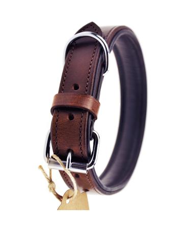 Sniffing fans collar for dogs made of leather dog collar for the large medium and small dog leather collar padded robust (XL - 46-55cm brown) XL - 46-55cm brown - Buy Online on GoSupps.com