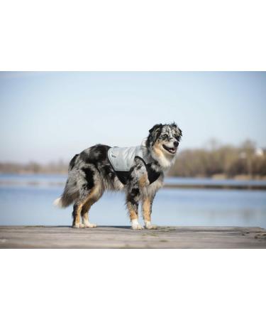 Shop Cani.cool Silver Cooling Vest for Dogs Size M | Perfect for Hot Weather - Buy Online on GoSupps.com