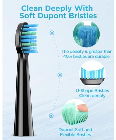 Rechargeable Sonic Electric Toothbrush Set for Adults | 5 Modes, 8 Replacement Heads | Fast Charge, Smart Timer | Deep Cleaning | Black - 9 Piece Set - Buy Online on GoSupps.com