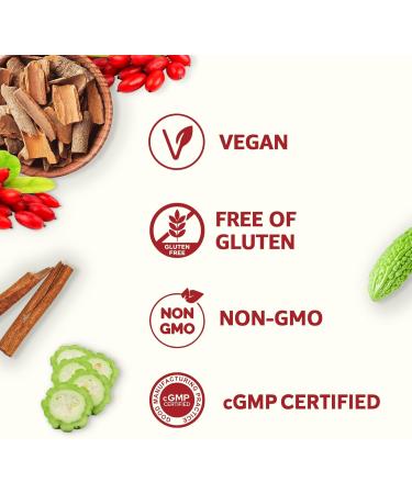 Berberine Supplement Organic 1500mg with Ceylon Cinnamon Bitter Melon Liposomal Berberine HCL Complex Supplements Immune & Digestive Support - Non-GMO Organic Vegan Berberine Capsules 120Cts 120 Count (Pack of 1) - Buy Online on GoSupps.com