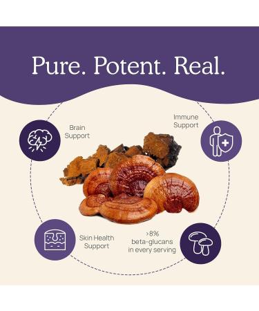 Real Mushrooms Zinc Supplements for Adults (120ct) - Immune Support with Chaga & Reishi - Vegan, Gluten-Free, Non-GMO - Mushroom Zinc Capsules - Buy Online on GoSupps.com