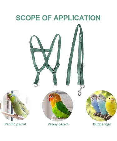 Camidy Adjustable Bird Harness and Leash Kit Macaw Cockatoos Bird Leash for Parrots Outside Training Walk for Large Bird Parrots Green L - Buy Online on GoSupps.com
