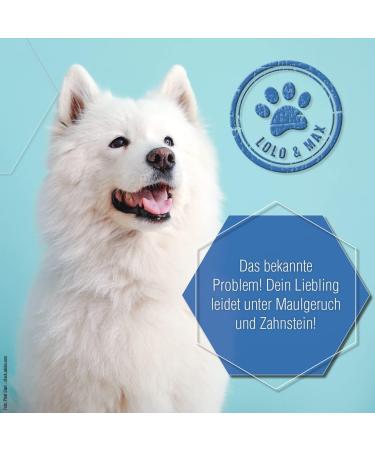 Lolo & Max Natural Dental Care for Dogs & Cats | Vegan Drinking Water Additive for Fresh Breath Tartar Control & Dental Hygiene - Buy Online on GoSupps.com